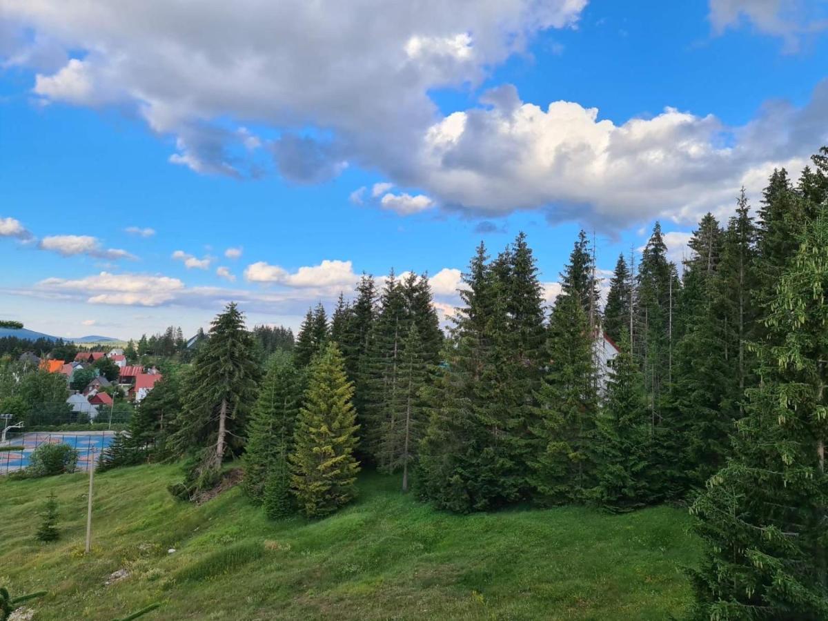 Turisticki Apartmani “Kraljeva Stolica” Žabljak Exteriér fotografie